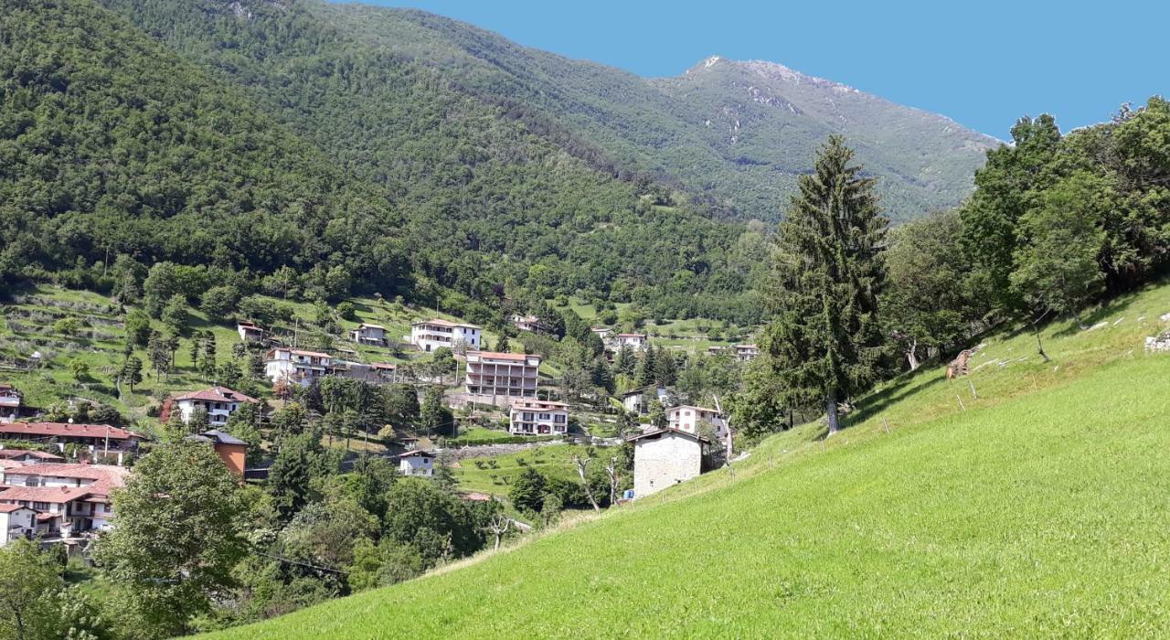 Roby's House - Affiliato Best-incoming * Viadanica